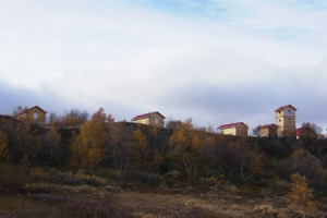 SONY DSC