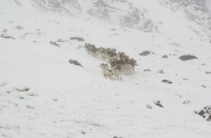 image-10-01-15-10-25-5 800